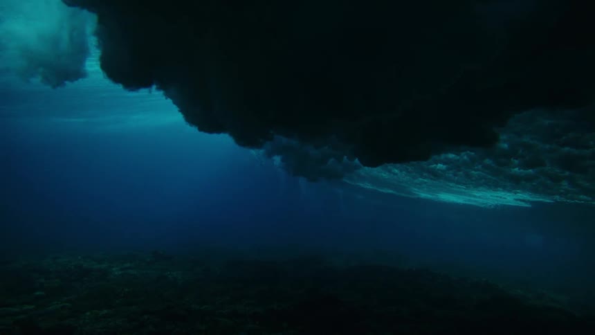 A large wave puts shade on the sea floor