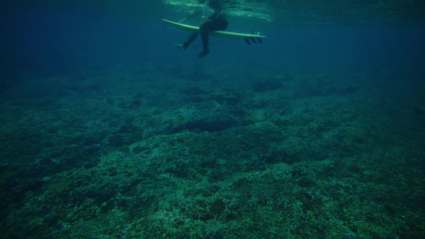 Surfer sits on their surfboard kicking their feet in the murky water near the seafloor