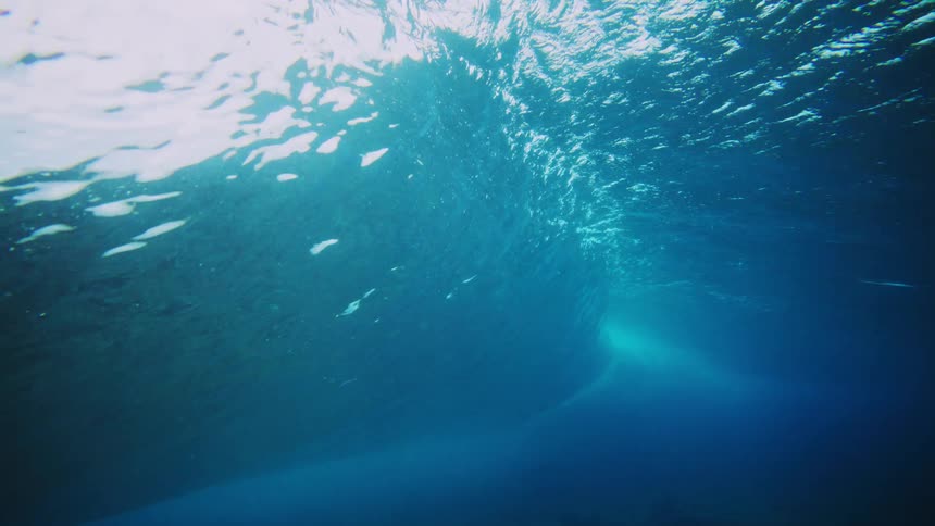 The green coral reef is under the blue water