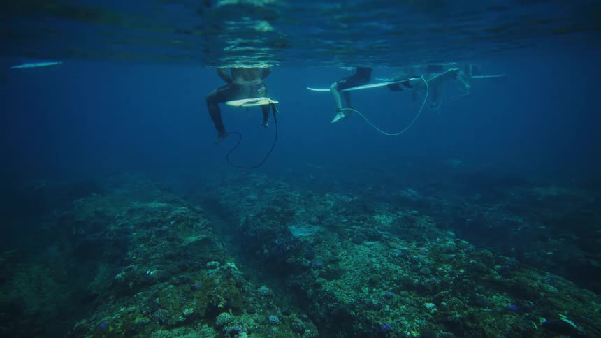 A footage of surfers in the ocean