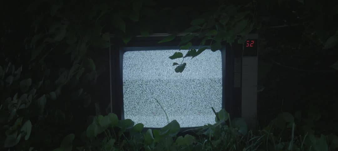 An old style tv flashes white static lines while it sits among green leaves