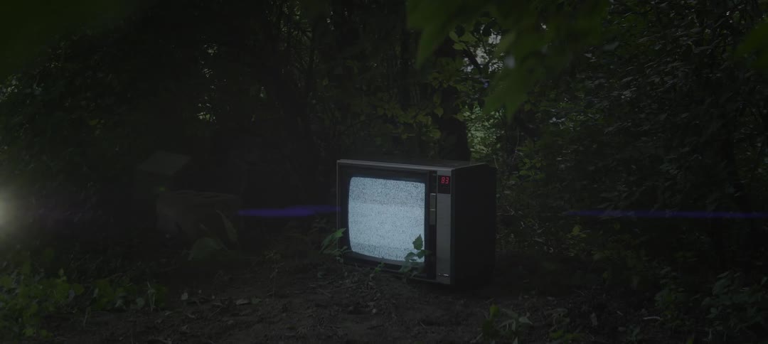 Tv flickers outside in the woods at night