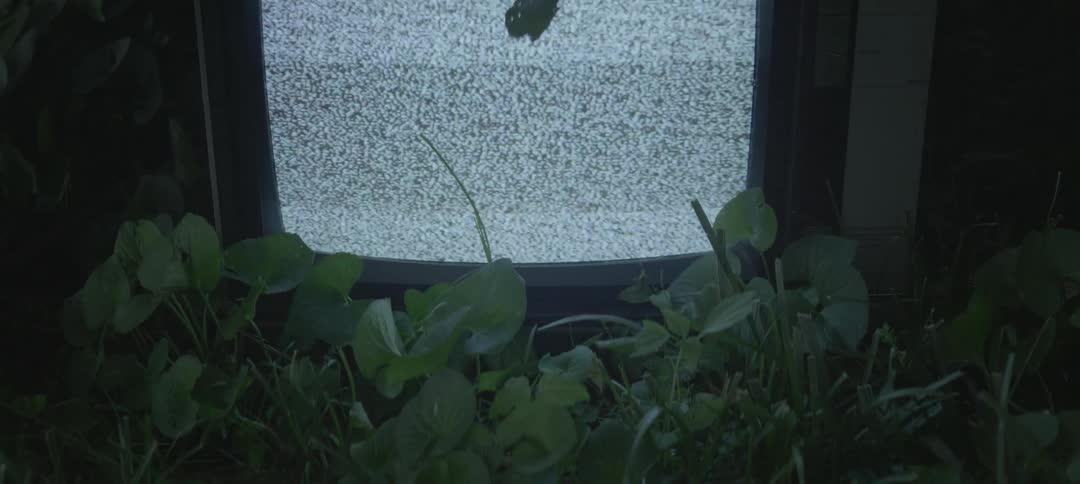 A tv screen displays white static as it sits among green leaves