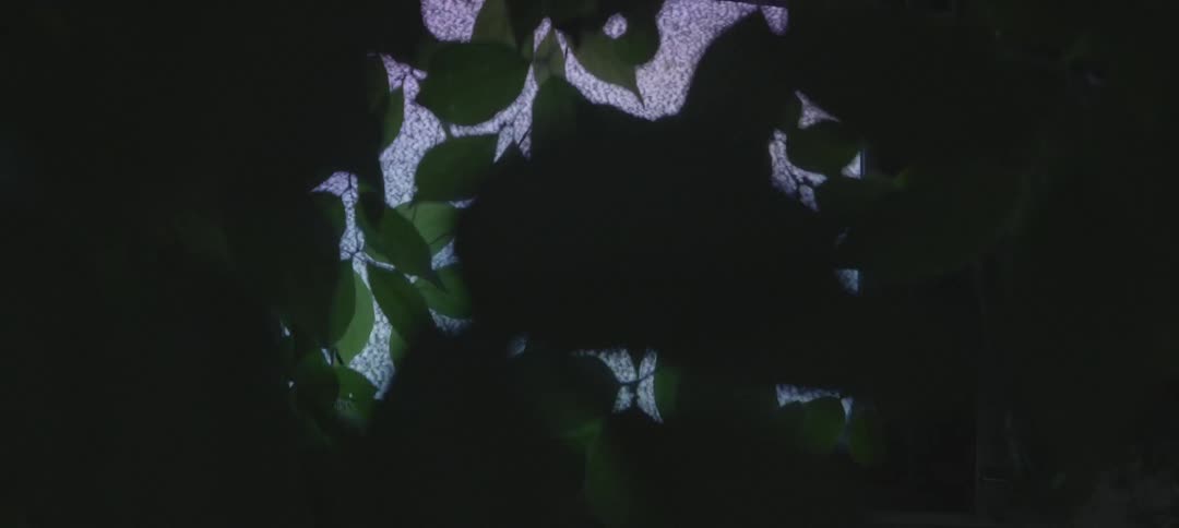 Tv flickering static covered in leaves