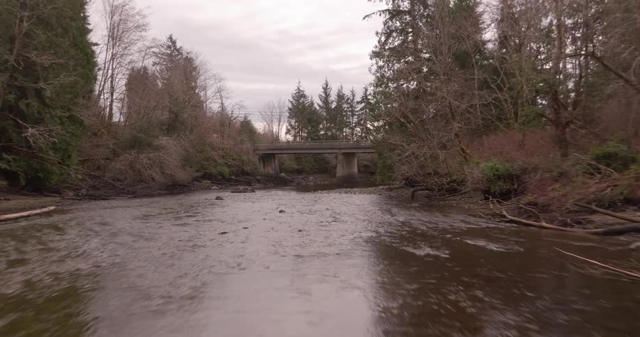 A white car drives over a bridge as it crosses a river in a forested setting