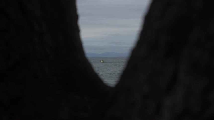 A boat is seen in the distance through a narrow opening between two large dark tree trunks with a cloudy sky and calm water in the background