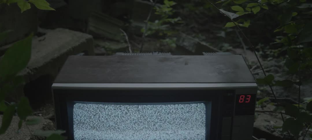 Tv showing static in the woods