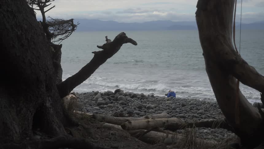A person in a blue jacket taking pictures on a rocky shoreline scattered with driftwood and distant mountains under a cloudy sky