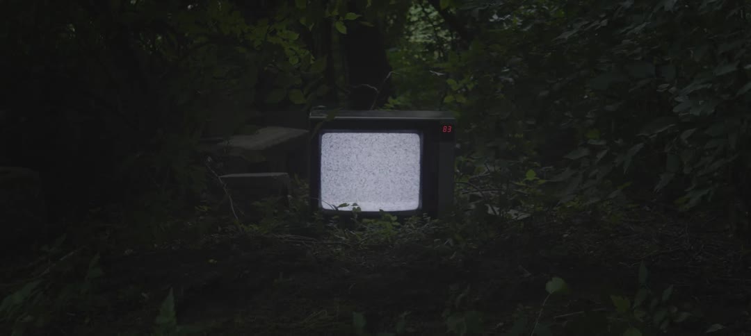 Tv flickering static outside surrounded by tree branches