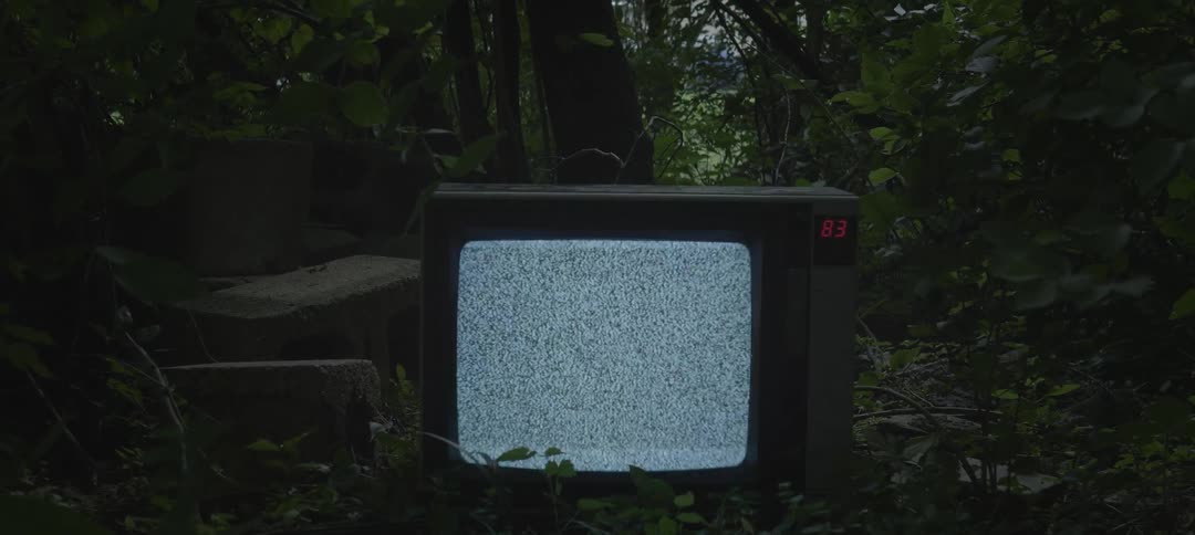 Tv showing static on the ground in the woods