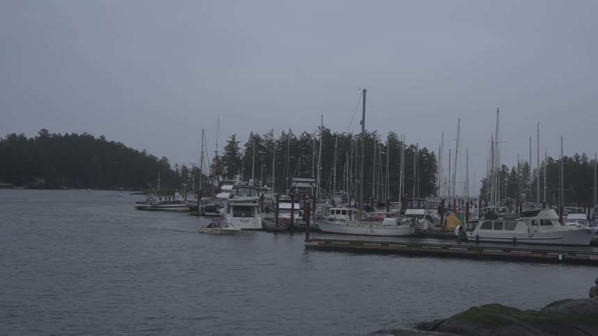 A boat travels into the harbor full of docked boats