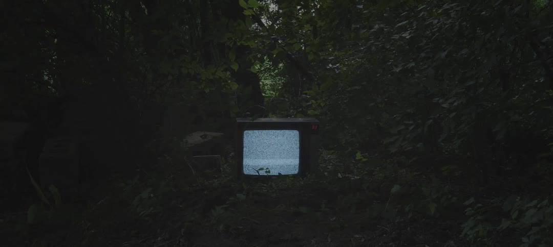 Tv flickering static outside surrounded by trees