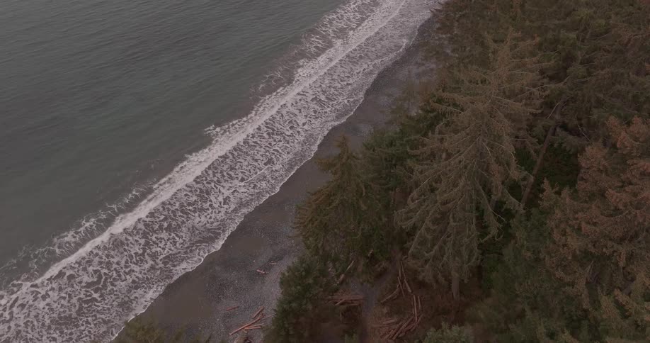 An aerial view of a coastline with some ocean waves breaking near a pine forest