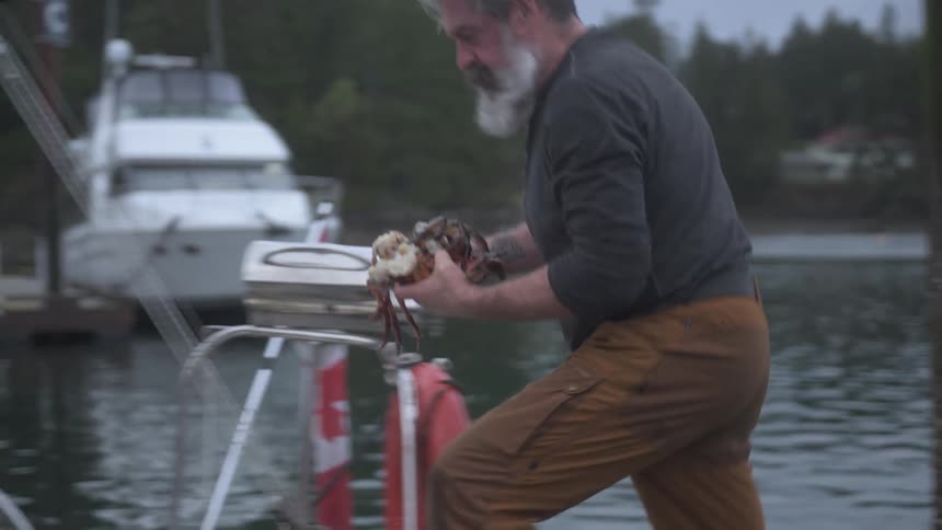 Man picking up crabs from dock and walking into boat docked at the harbor
