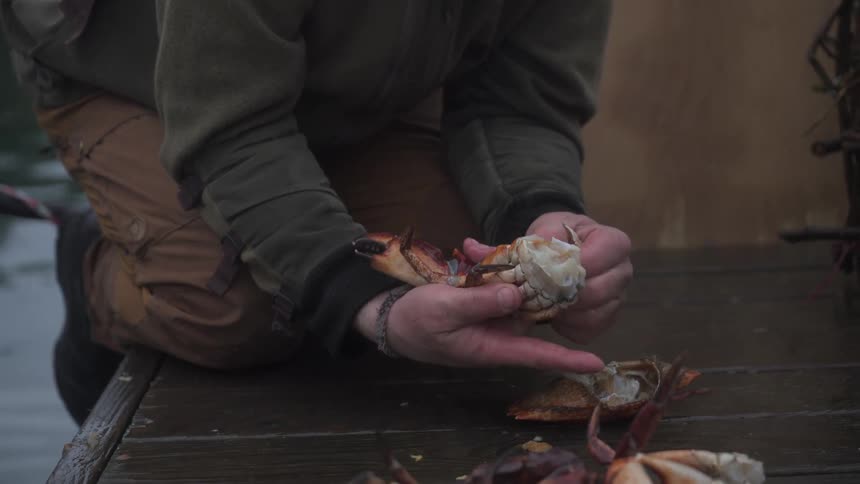 A person kneels on a wooden surface cleaning crabs with scattered crab shells surrounding them