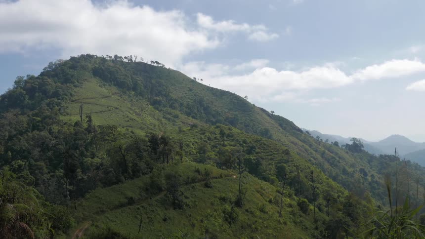 Lush green mountain top on a sunny day