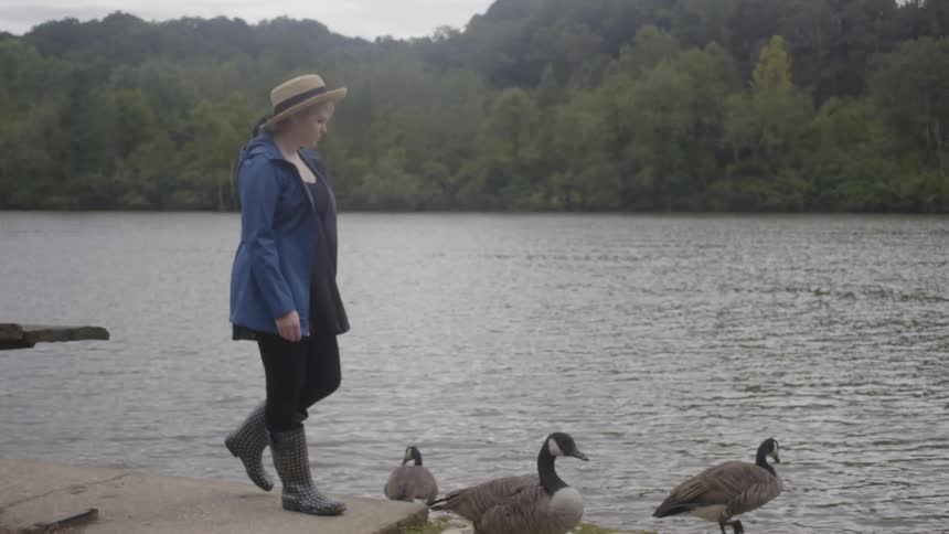 Woman walking on a ledge next to a river near geese