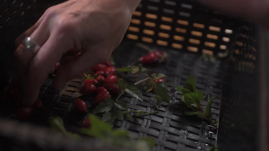 Pair of hands selecting pepper spices