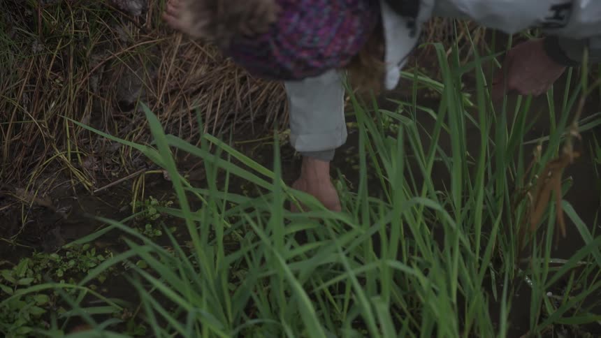 A barefoot individual adorned with a vibrant beanie gathers fresh herbs from the earth encircled by tall blades of grass