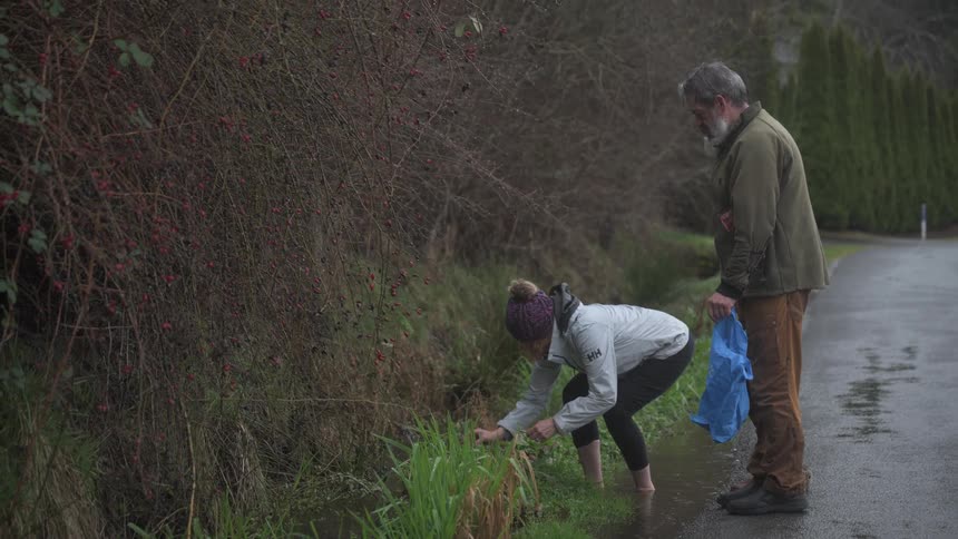 Man and a woman on the side of a road picking sprouts