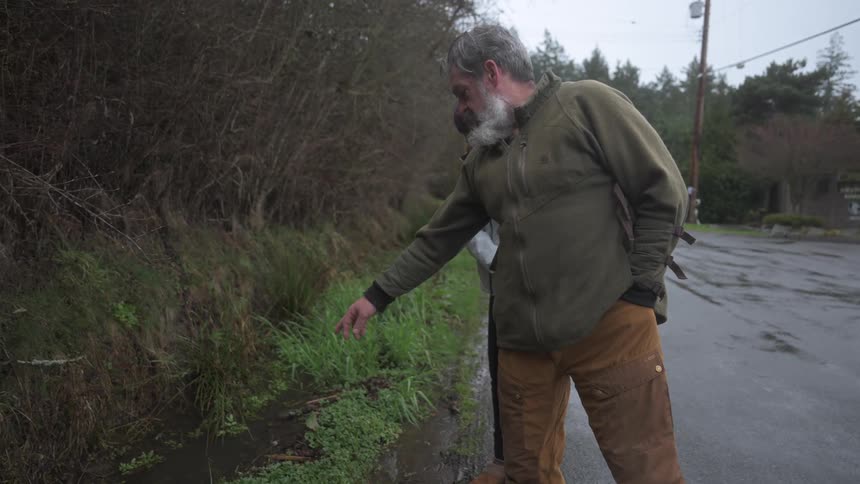 Two people stand on a wet road beside a grassy ditch with one person pointing at herbs growing along the edge