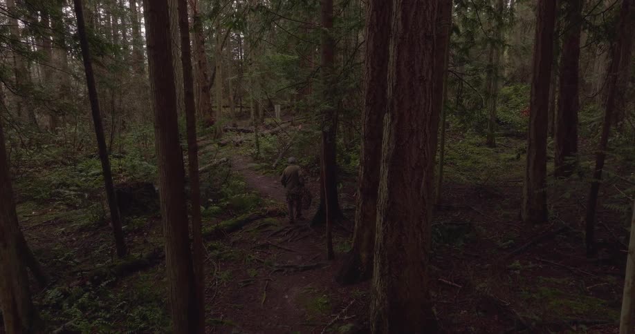 A man is carrying a trap down a trail in the forest