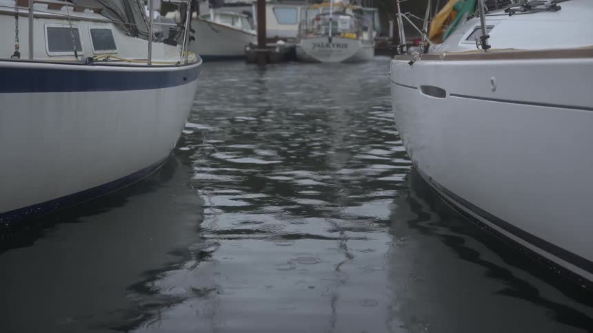 Boats in the marina sway slowly on the reflective water during the daytime