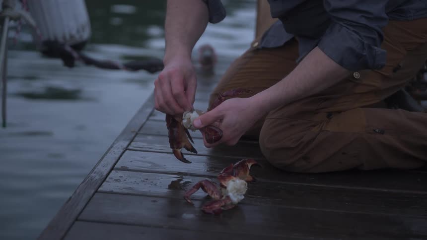 A person kneels on a wet wooden dock beside a boat breaking apart a crab with their hands