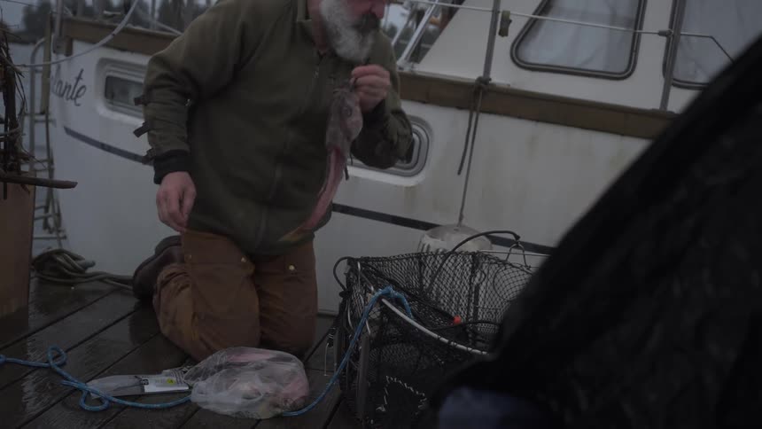 Fisherman on his knees preparing fish bait