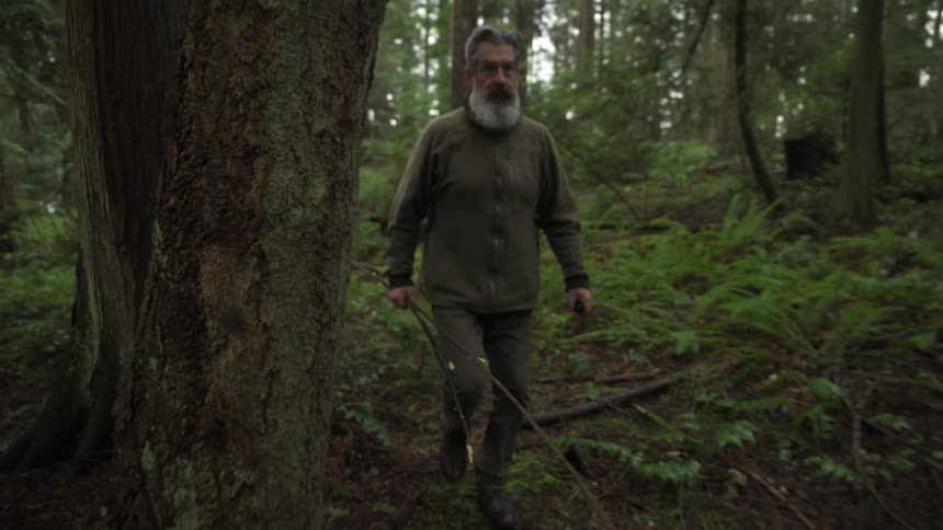 A footage of a man walking in the woods