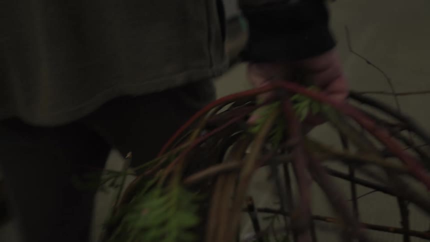 Hand carrying a trap