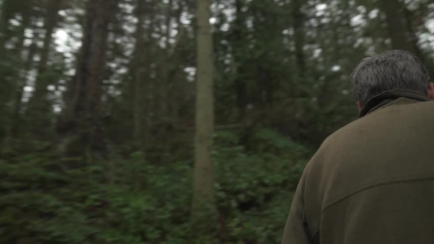 An older man walks through a temperate rainforest while carrying a homemade wooden cage