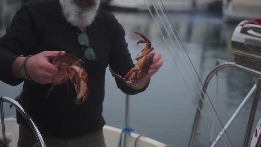 A footage of a man holding crabs