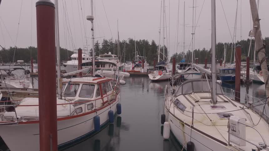 Boats and yachts in a marina on a cloudy day