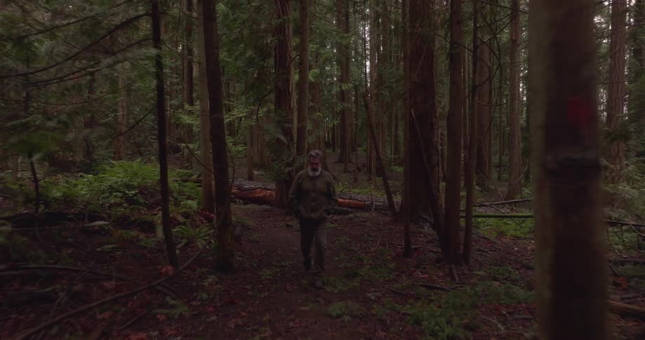 Man walking through the forest