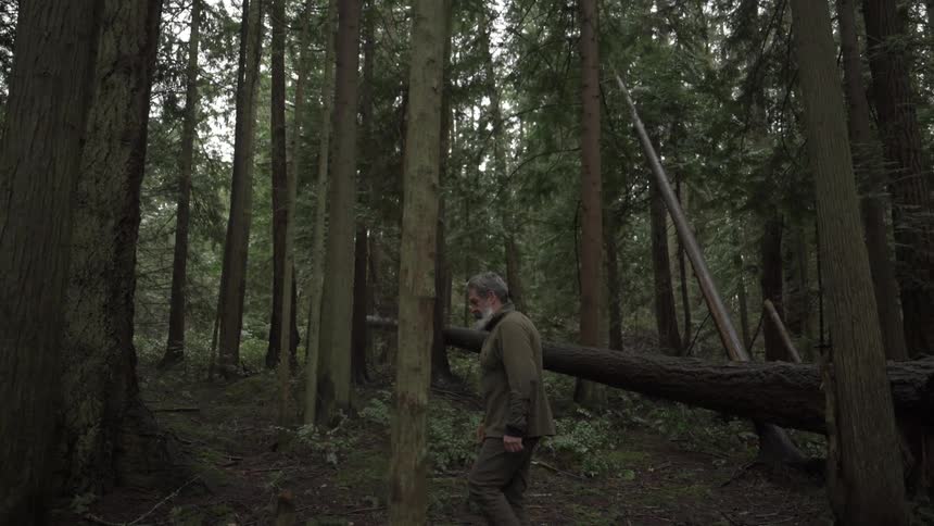 The man is hiking in the woods