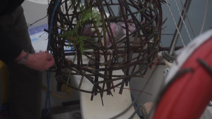 Hand picking up crab from inside a fishing pod