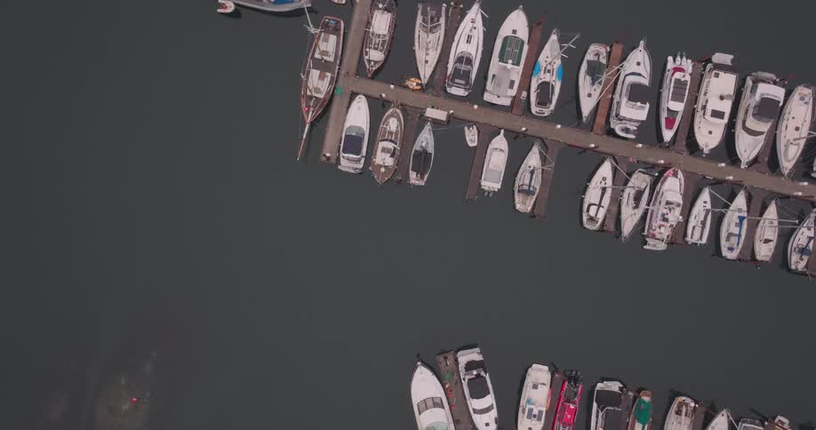 Several boats are docked at piers in a marina