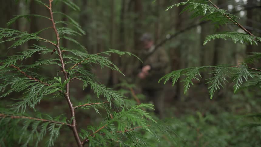 A footage of a man in the forest
