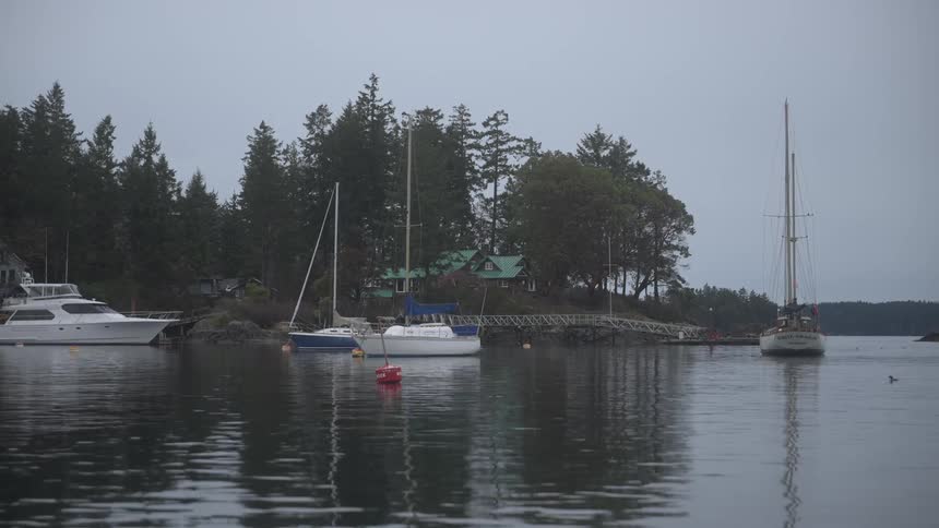 Sailing boats and yachts stopped in a calm sea