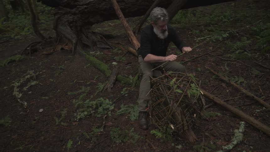 Bearded man with wooden branches making a trap