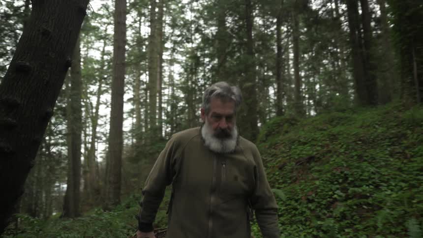 A footage of a man walking in the forest