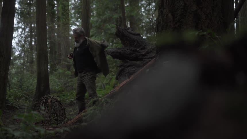 A footage of a man walking the woods