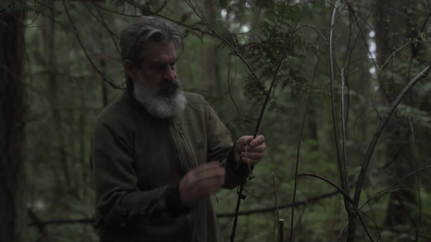 A man is cutting branches with a knife in the forest
