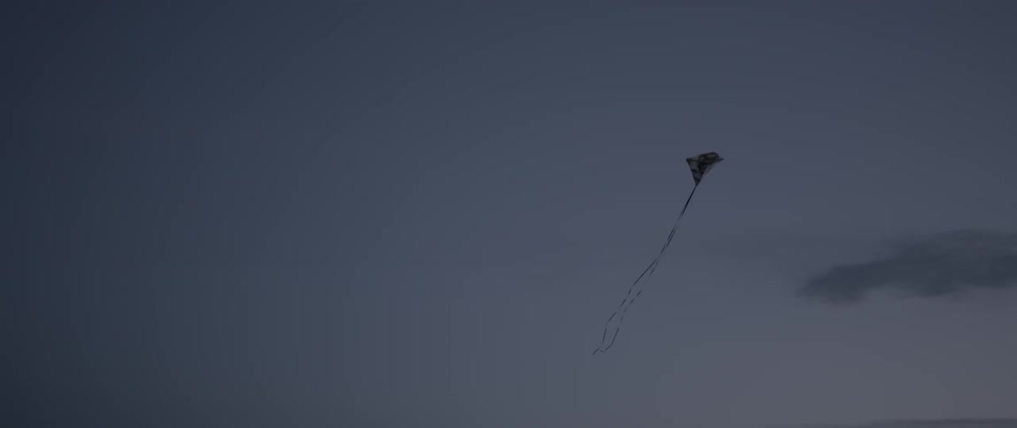 Kite flying in the sky at dusk