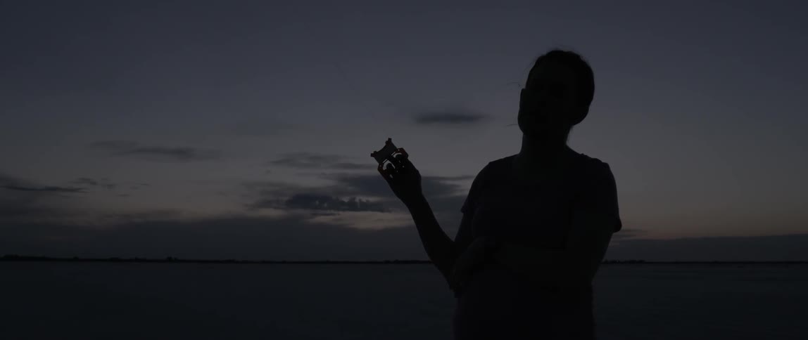 Silhouette of a person standing outside at sunset
