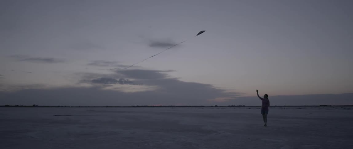 Woman flying kite on beach after sunset