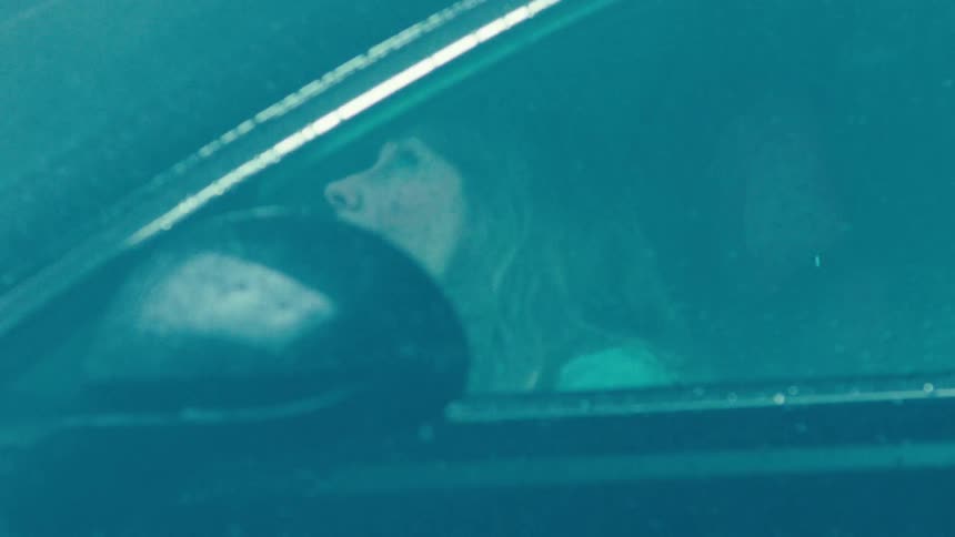 Woman inside a parked car with rain falling