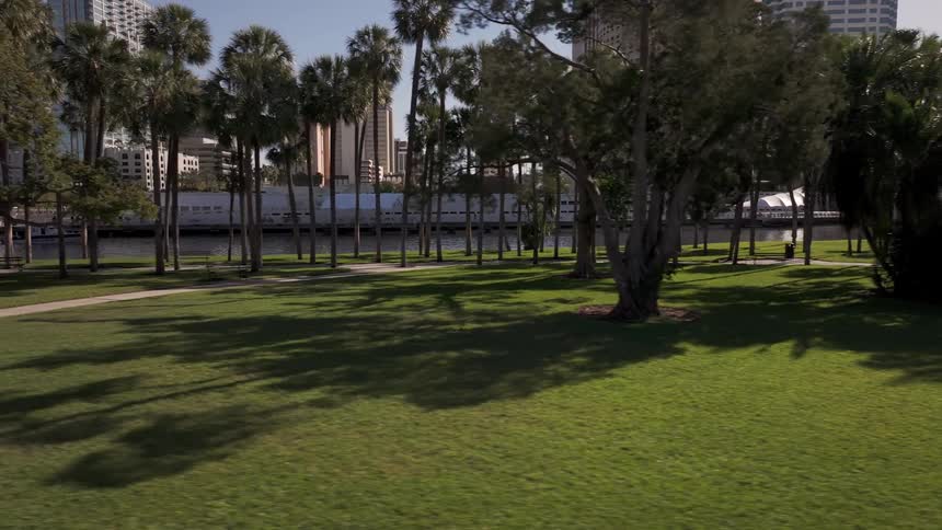 A lush green park with palm trees and other vegetation along the edge of a waterway with modern city buildings visible in the background