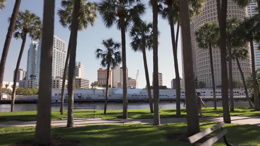 A woman rollerblades along a path flanked by tall palm trees with a river and city buildings in the distance